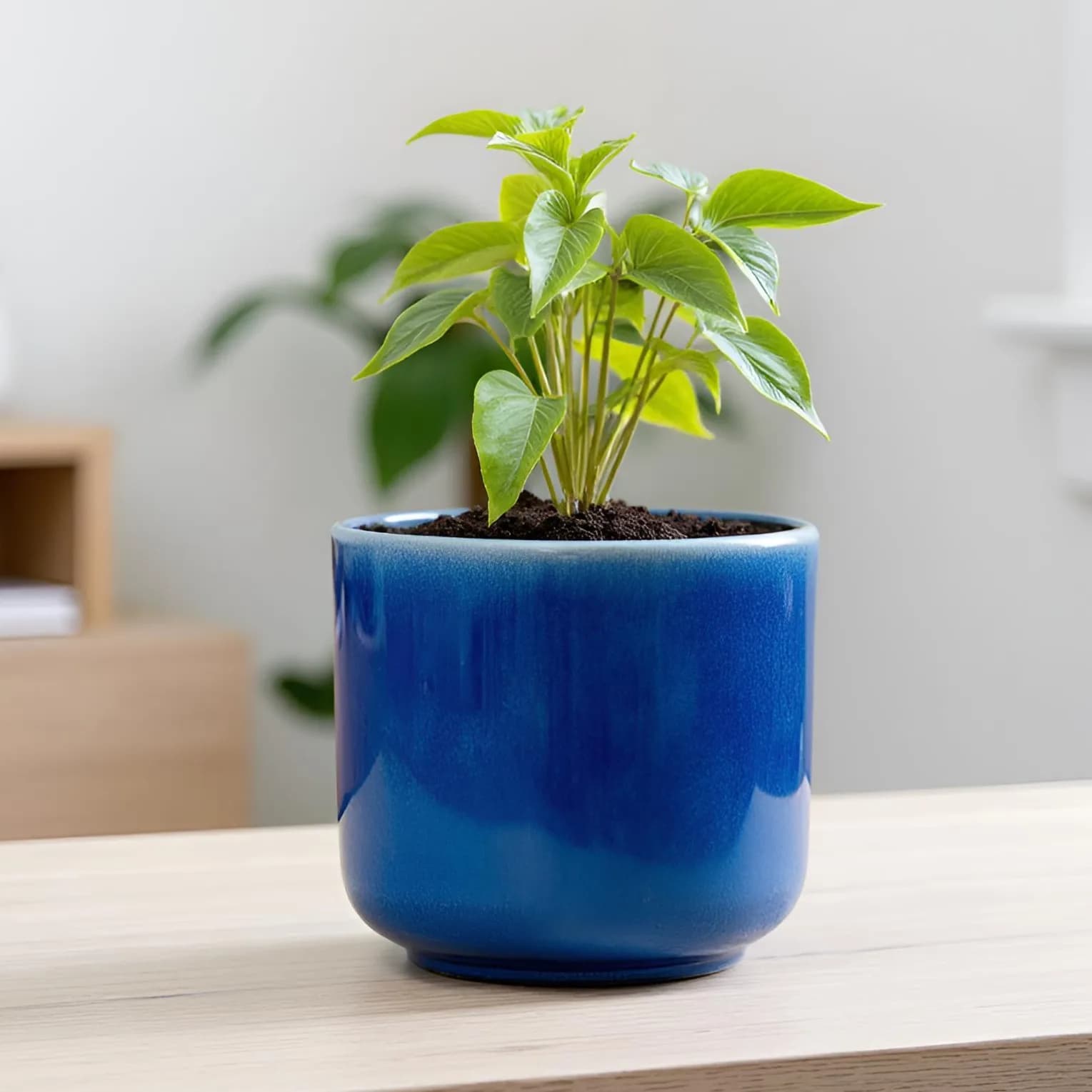Blue HT10
