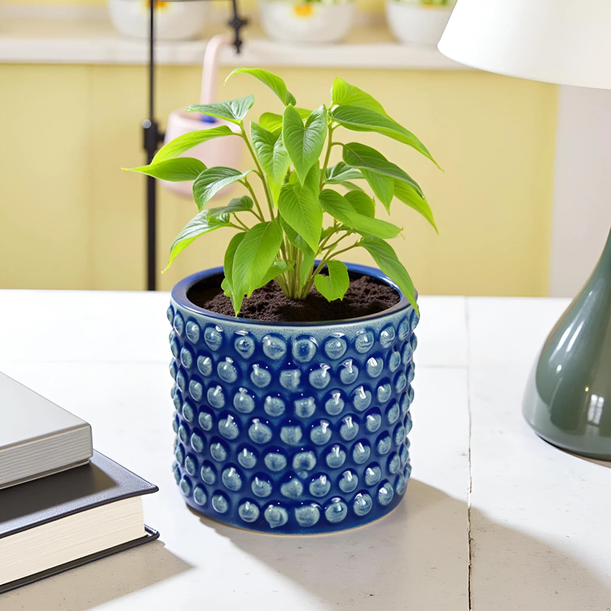 Bubble small blue HT10