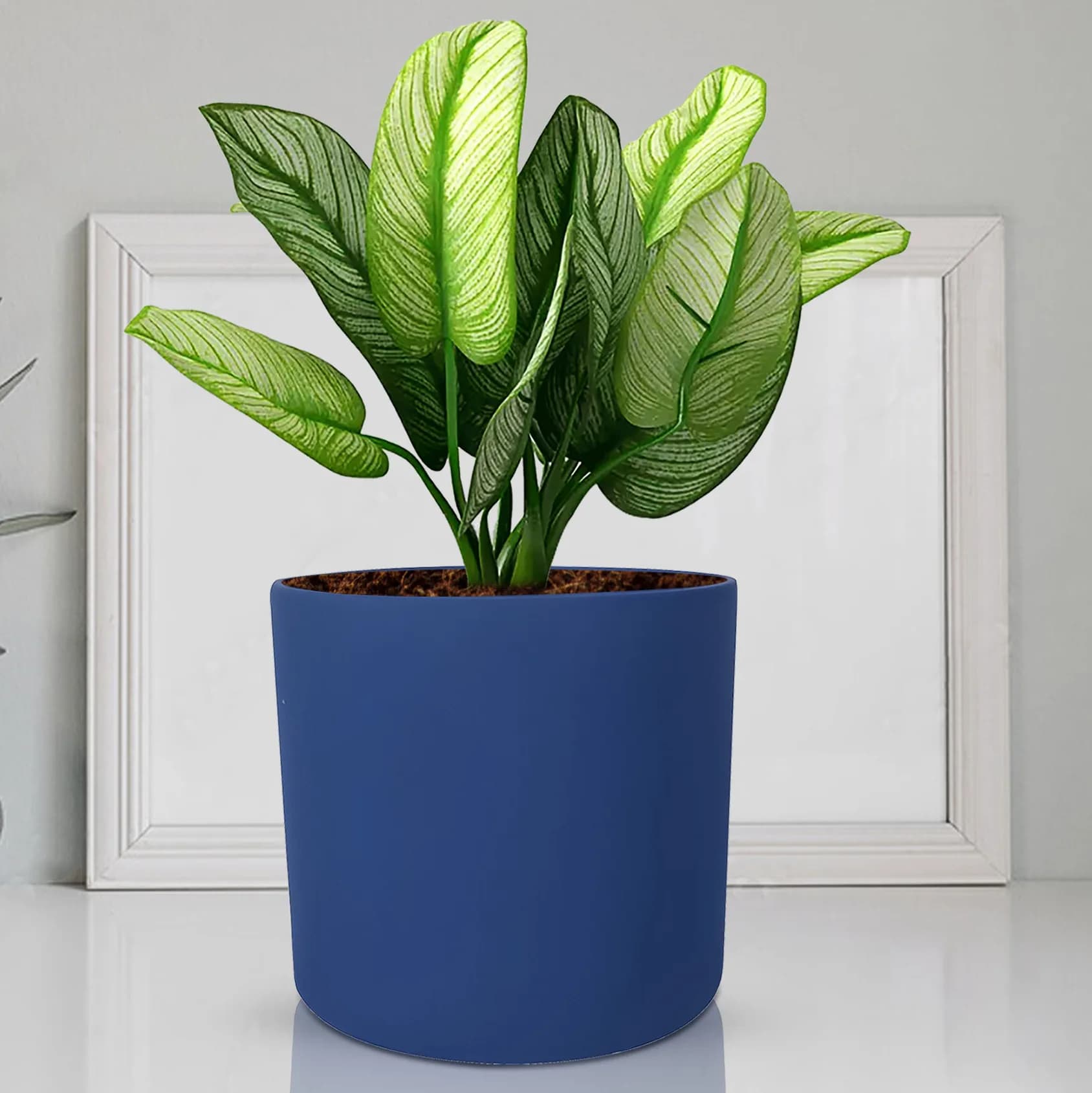 Sara 5 inch blue