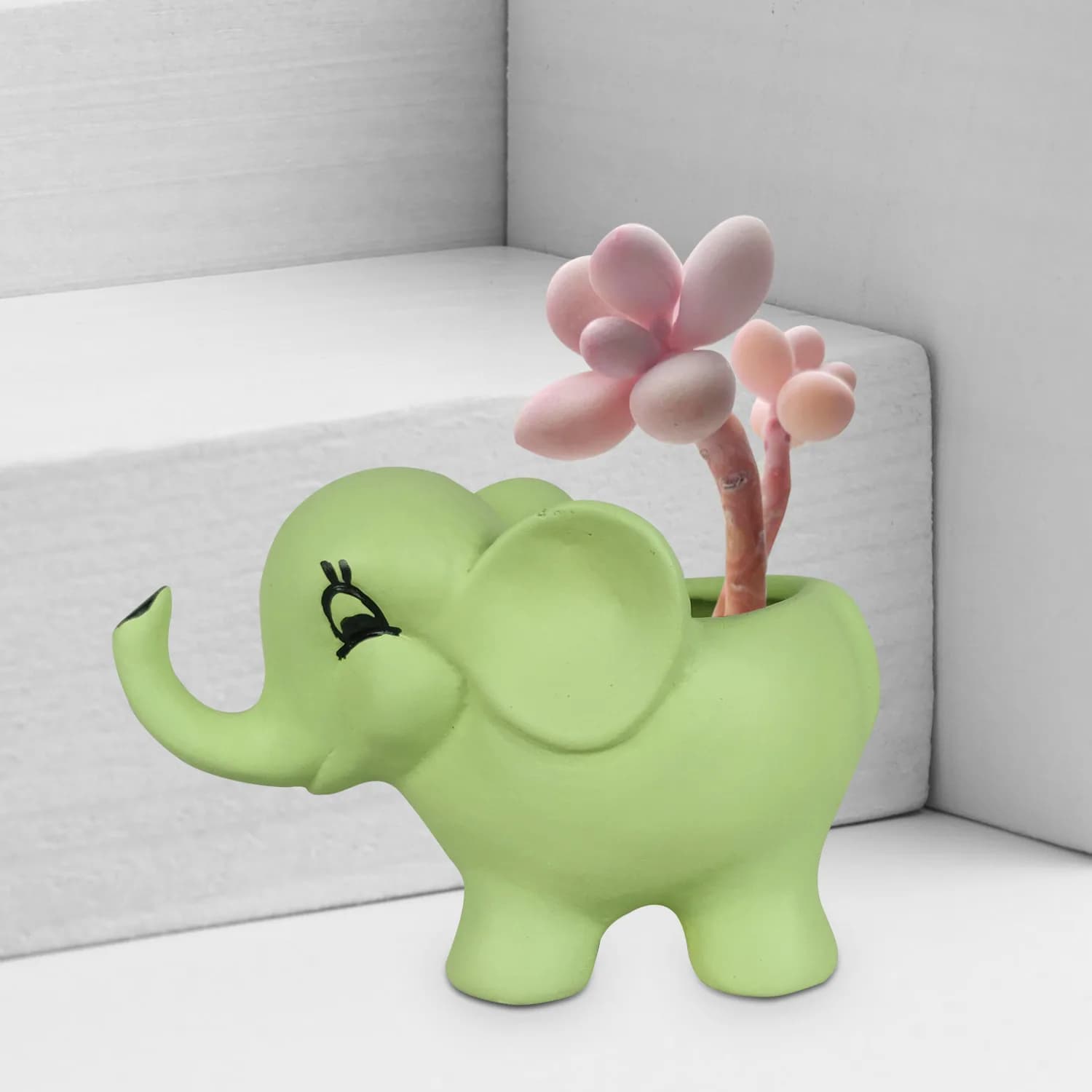 Jumbo mint