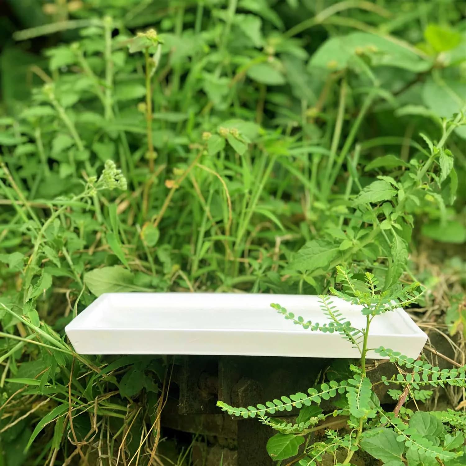 Plate rectangle white rec003