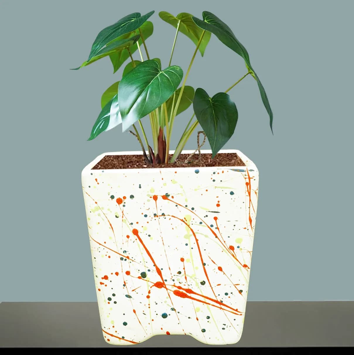 Mini pot multi