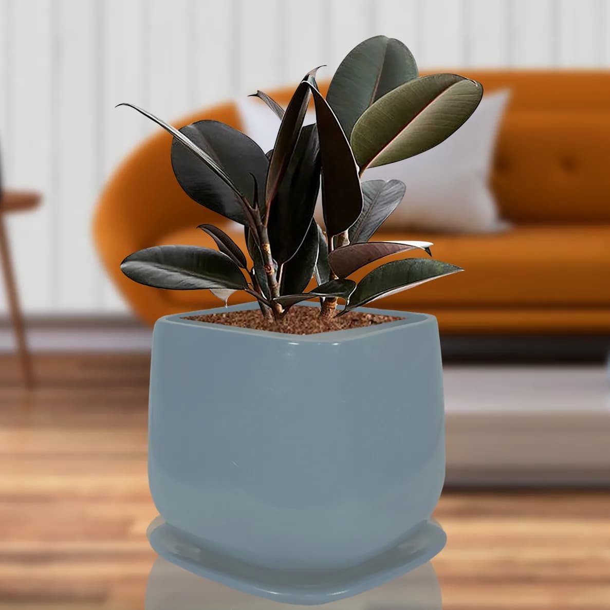 Grey