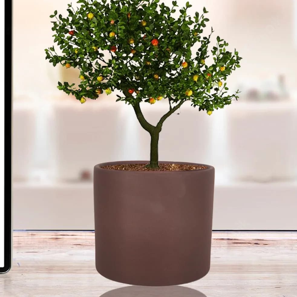 Sara 4 inch truffle