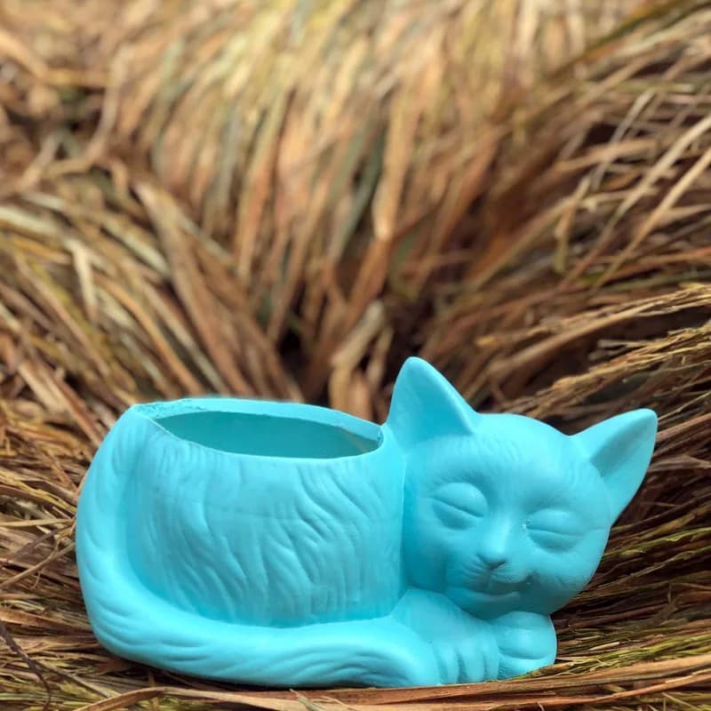 Aqua