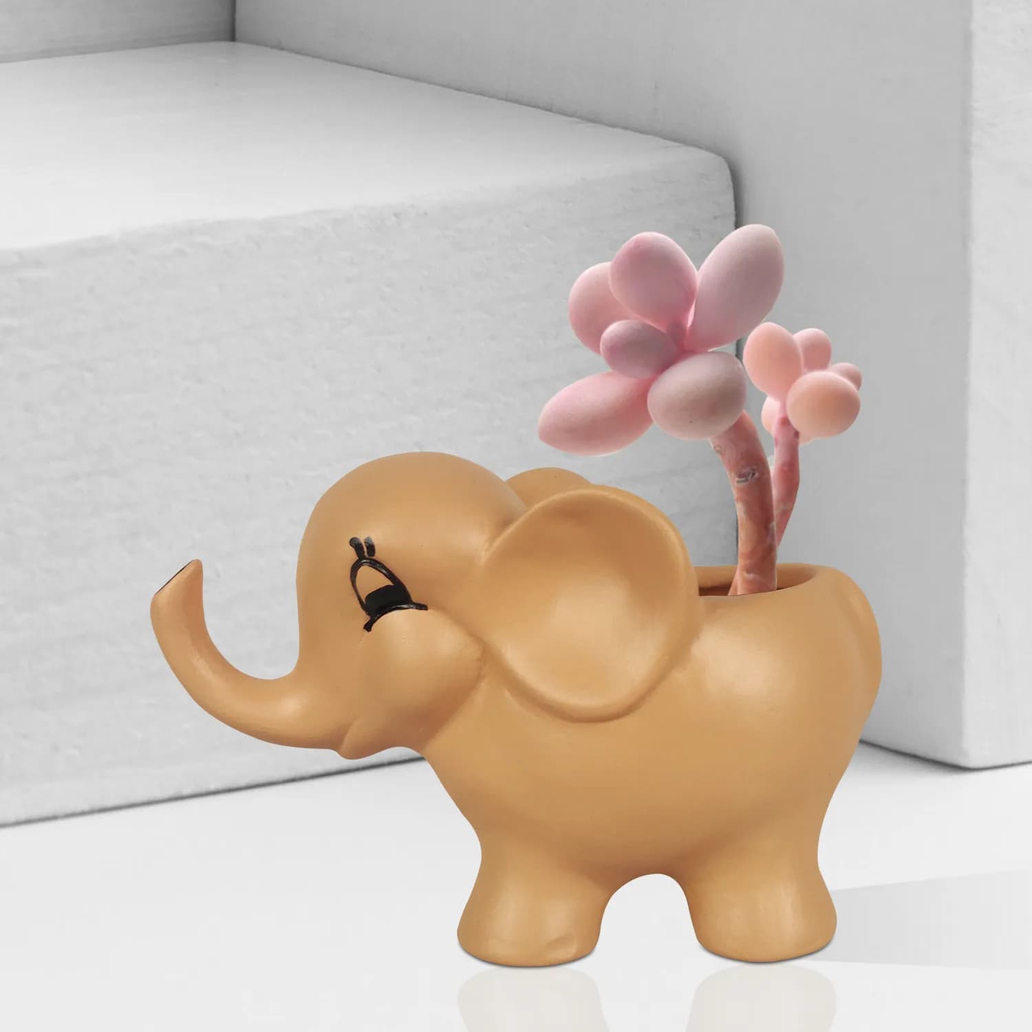 Ginger