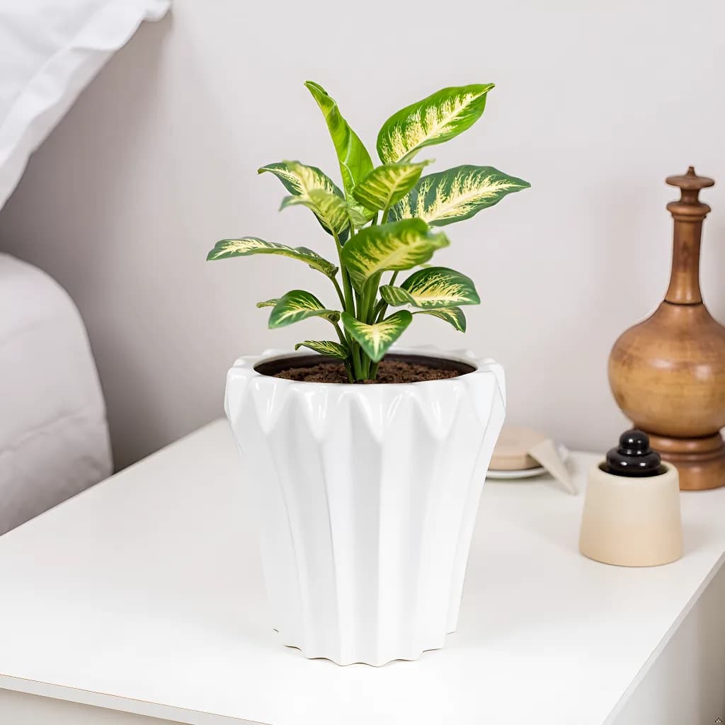 White HT