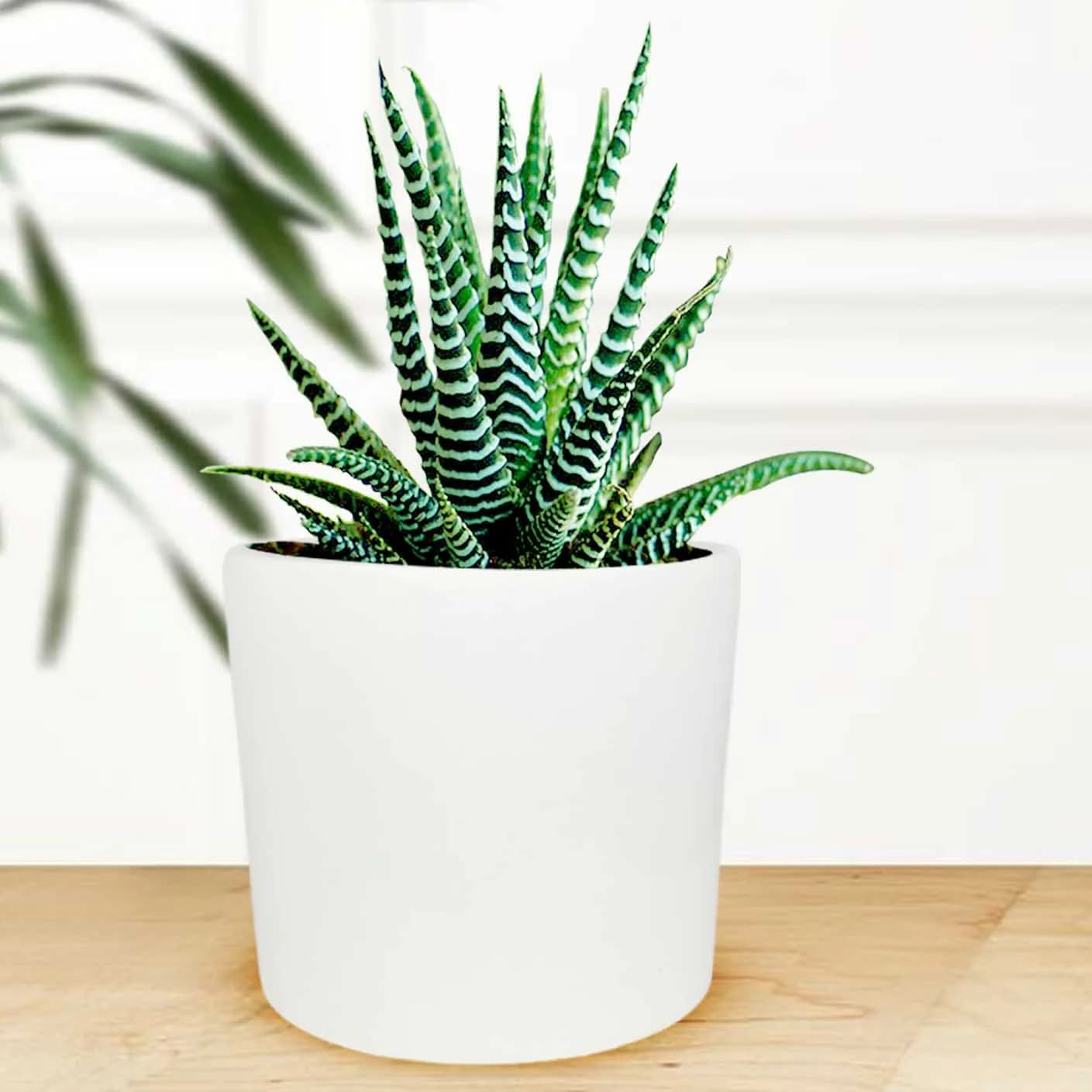 Pi pot ex-large white