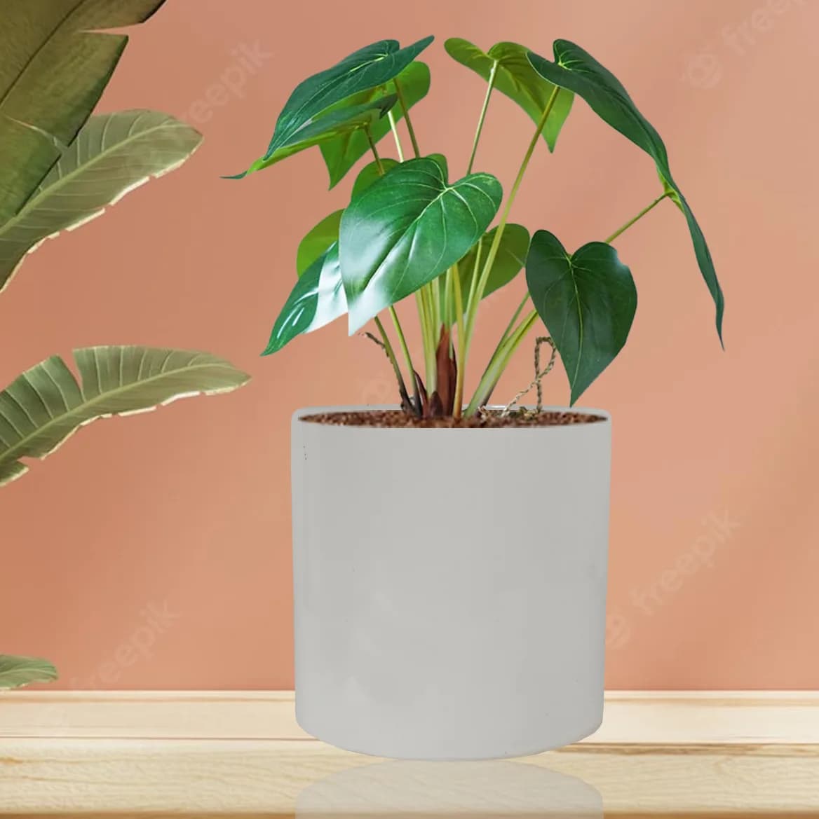Pi pot 1 white
